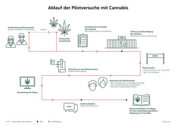 Ablauf der Pilotversuche mit Cannabis